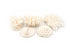 little wonders coral 5 pieces